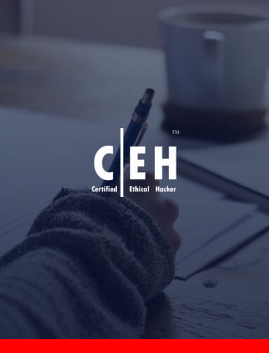 CEH (Certified Ethical Hacking)
