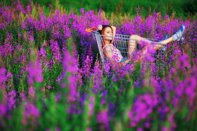 Chica dentro de un carro de la la compra en medio del campo lleno de flores lilas