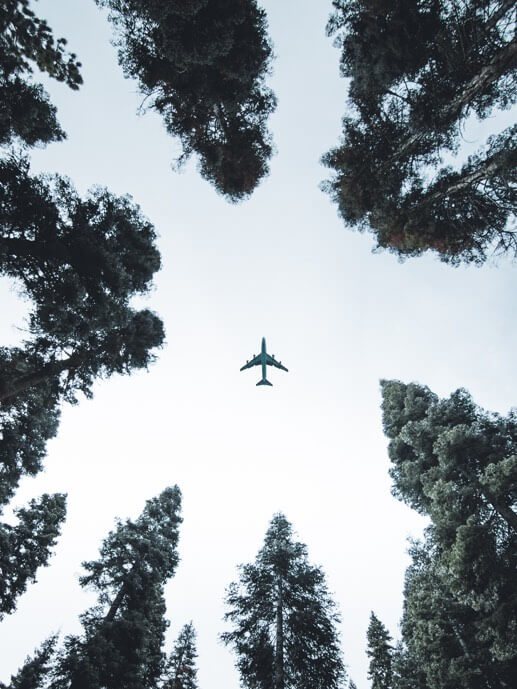 Babel Transportes ENAIRE. Un avión vista bajo un paisaje lleno de árboles